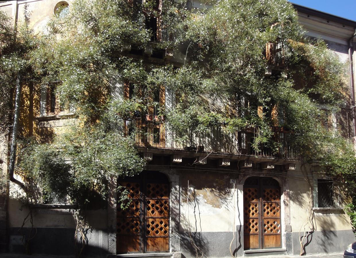 דירות Palazzu Stidda קטאניה מראה חיצוני תמונה